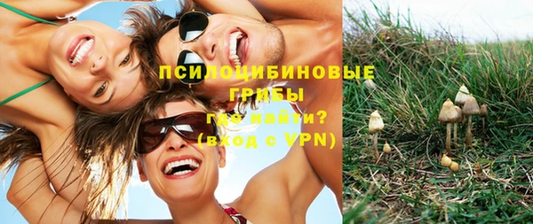 экстази Алзамай